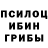 Псилоцибиновые грибы MAGIC MUSHROOMS Germiona Grendger