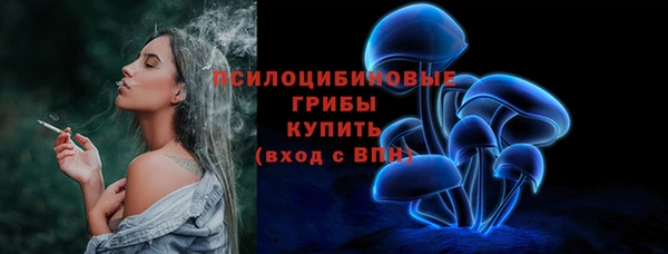 не бодяженный Богородицк