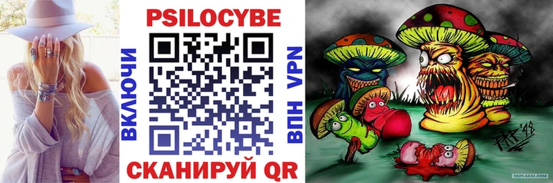 blacksprut как войти  Мезень  Псилоцибиновые грибы мицелий 